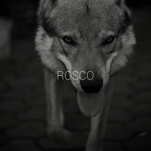 Rosco