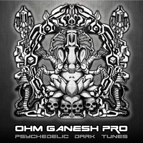 Ohm Ganesh Pro Profile