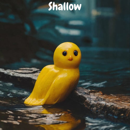 Shallow