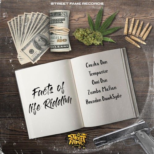Facts of Life Riddim
