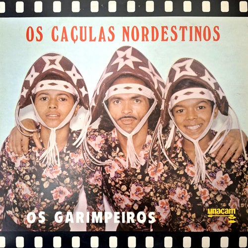 Os Garimpeiros