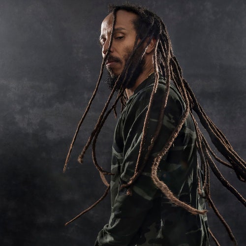 Ziggy Marley Profile