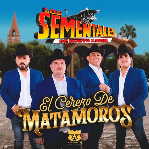 El Cerezo De Matamoros