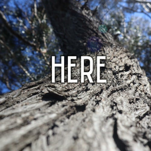 Here