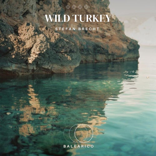 Wild Turkey (Radio Edit)