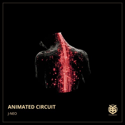 Animated Circuit