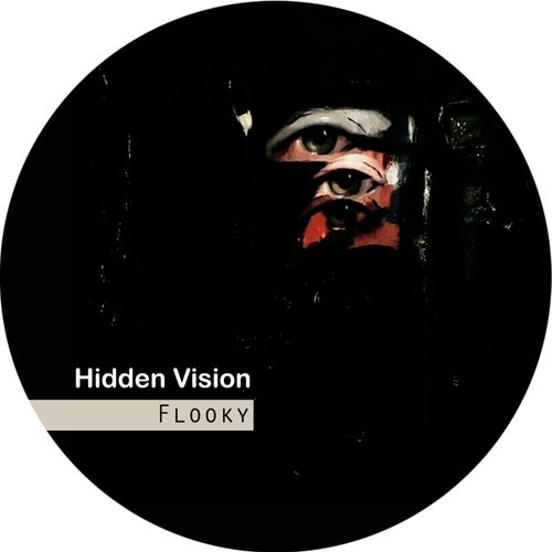Hidden Vision