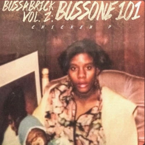 BussaBrick Vol.2 :BussOne 101