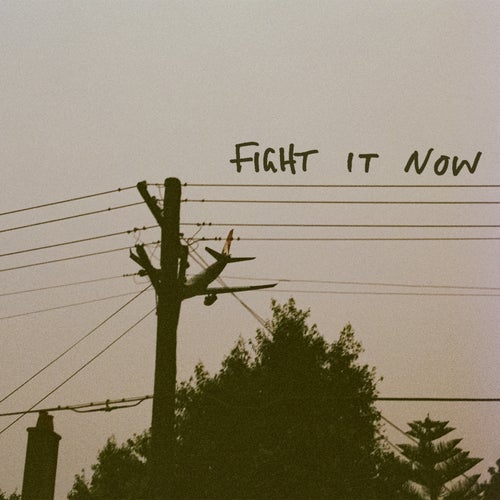 Fight it Now