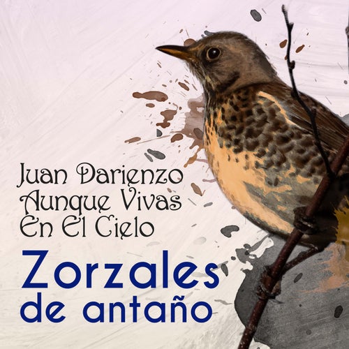 Zorzales de Antaño - Juan Darienzo - Aunque Vivas En El Cielo