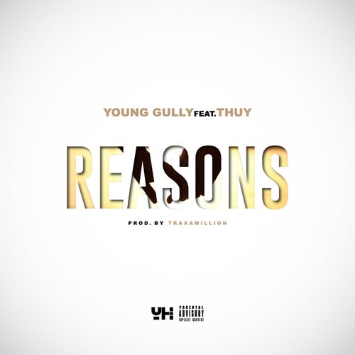 Reasons (feat. Thuy) - Single