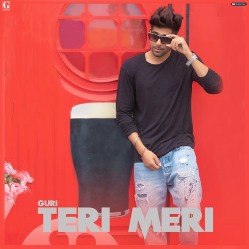 Teri Meri