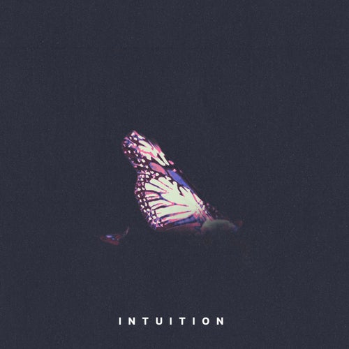 INTUITION