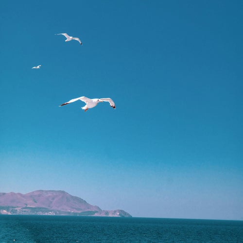 Relax Lo Fi Chillout Music