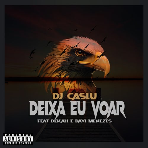 Deixa Eu Voar