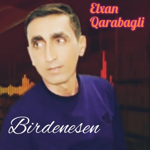 Birdenesen