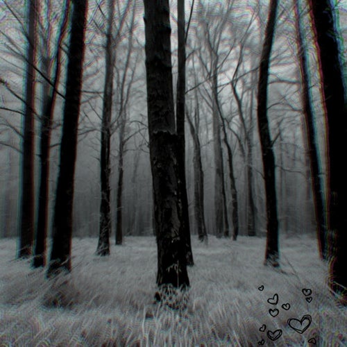 Lo the lost