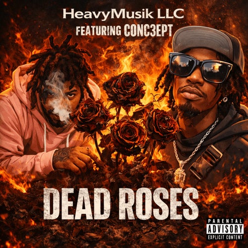 Release of the week