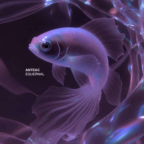 Equernal EP
