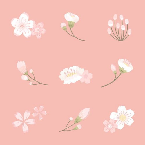Lovely Sakura