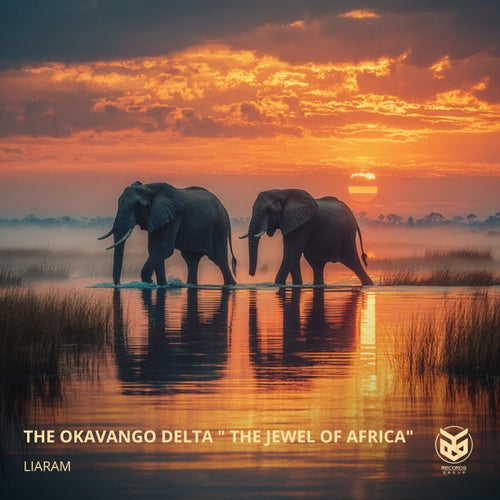 The Okavango Delta 'The Jewel of Africa'