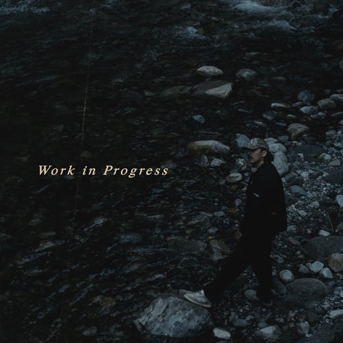 Work In Progress