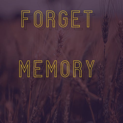 Forget Memory