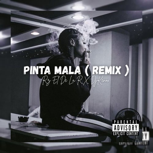 Pinta Mala (Remix)