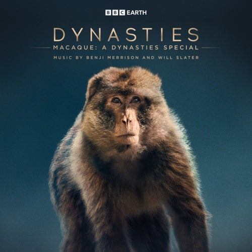 Macaque: A Dynasties Special (Original Television Soundtrack)