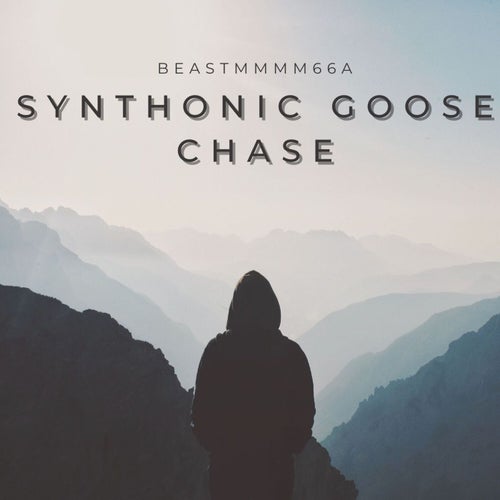 SYNTHONIC GOOSE CHASE