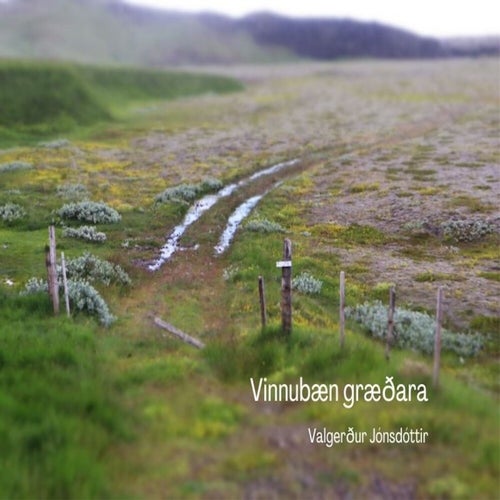 Vinnubæn græðara