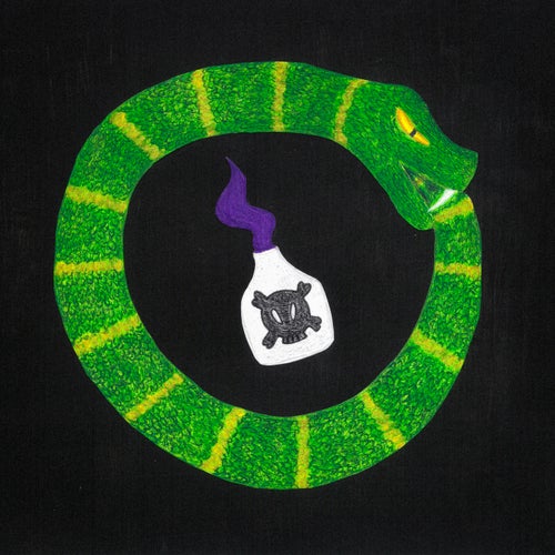 È un serpente che si morde la coda