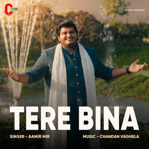 Tere Bina