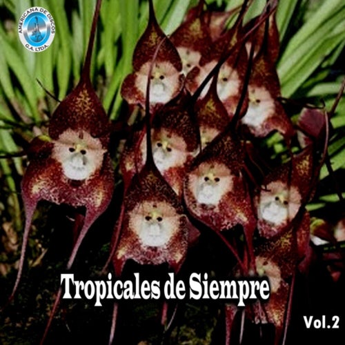 Tropicales de Siempre, Vol. 2