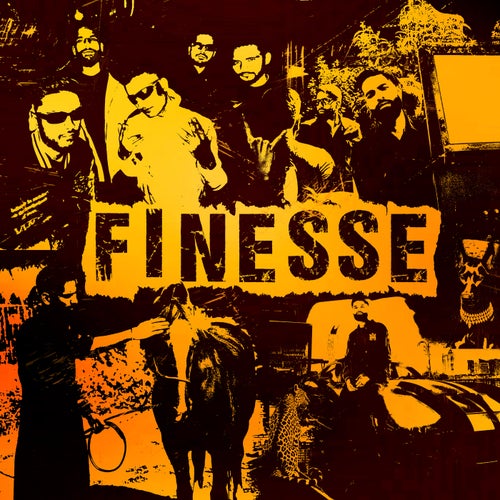 FINESSE