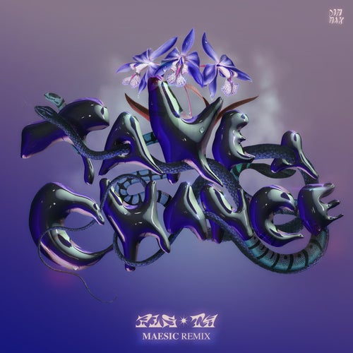 Take A Chance (Maesic Extended Remix)