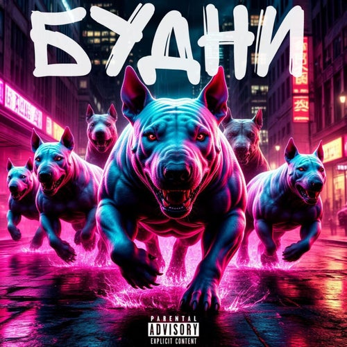 Release of the week