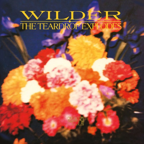 Wilder (Remastered Expanded Edition)