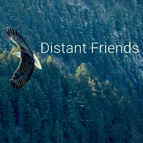 Distant Friends