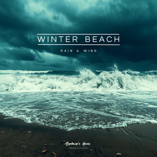 Winter Beach - Rain & Wind