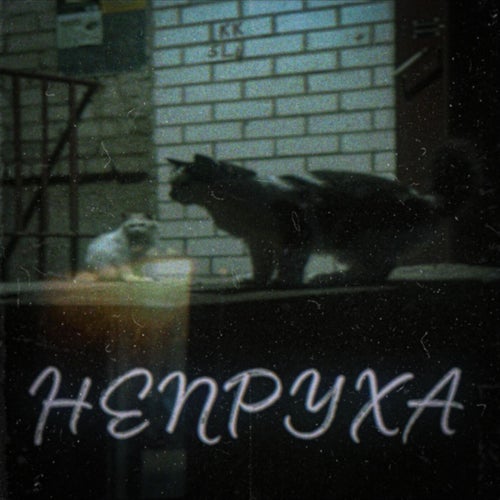 НЕПРУХА