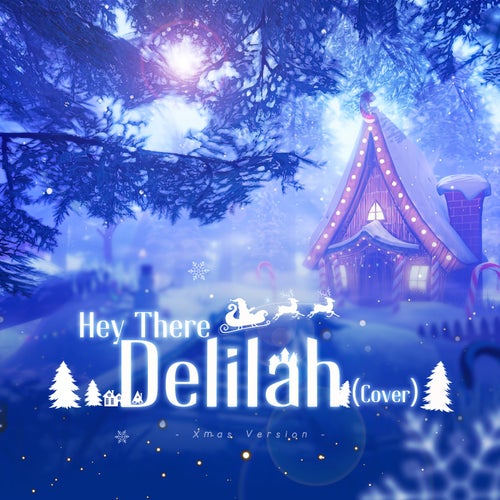 Hey There Delilah (Cover - Xmas Version)