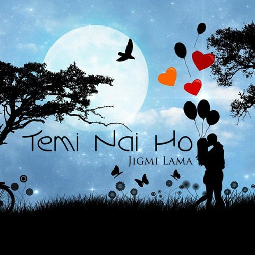 Temi Nai Ho