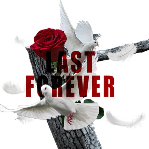 Last Forever