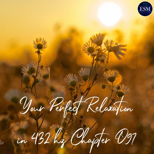 Your Perfect Relaxation In 432 hz Chapter 097
