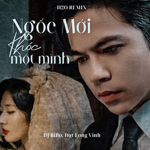 Ngốc Mới Khóc Một Mình (DJ Bibo Remix)