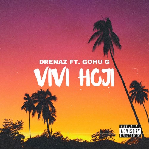 Vivi Hoji (feat. Gohu G)