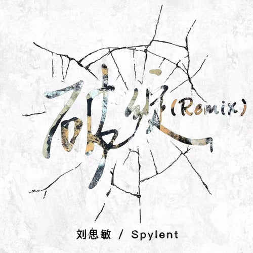 Flaw (Spylent Remix)