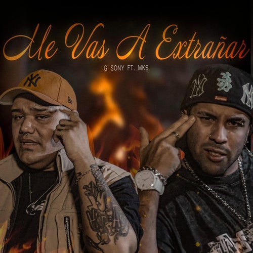 Me Vas a Extrañar