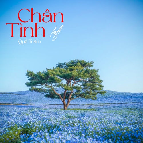 Chân Tình (Lofi Mix)